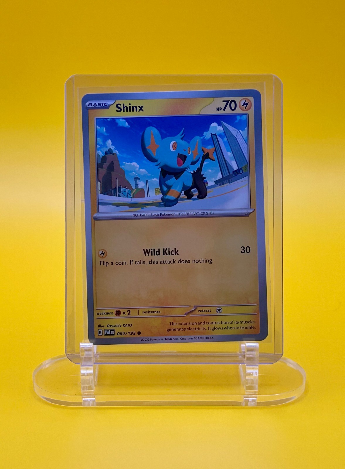 Shinx; Paldea Evolved 69/193 Common