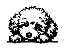New Poodle Puppy Dog Decal Sticker Black or White Vinyl Handmade Car Decal 4  