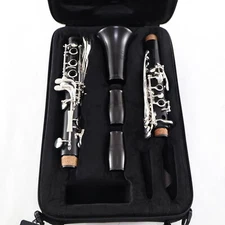 Backun 'Lumiere' Custom Grenadilla Bb Clarinet BRAND NEW