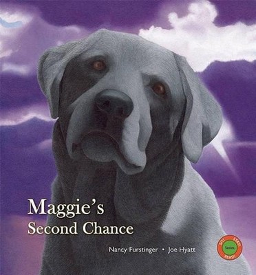 Maggie's Second Chance by Nancy Furstinger (English) Hardcover Book