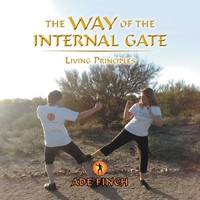 The Way Of The Internal Gate | Living Principles | Ade Finch | Taschenbuch