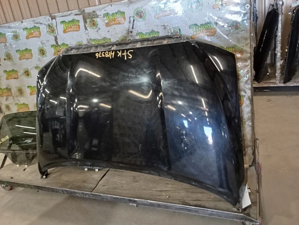 Hood Fits 08-22 SEQUOIA 3974550 - Изображение 2 из 4