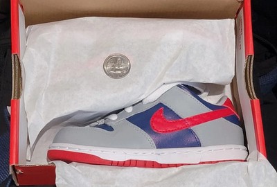 Nike Air Dunk Low SP Samba Hyper Blue Red Gray Boys TD Size 9C