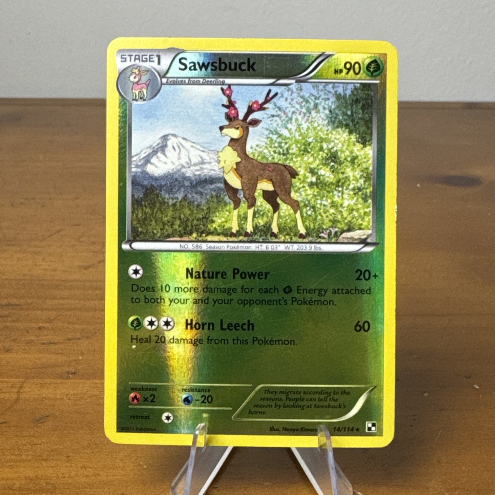 Sawsbuck 14/114 Reverse Holo Rare - Black & White Base Pokemon Card 2011 LP