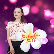 Dakota D. Art Photo Collection (+2.300)