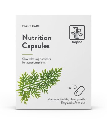 Tropica Nutrition Capsules 10St. Düngekapseln Langzeitdünger  Aquariumpflanzen