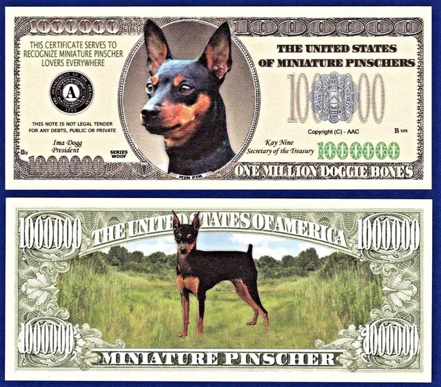 miniature pinscher guard dogs