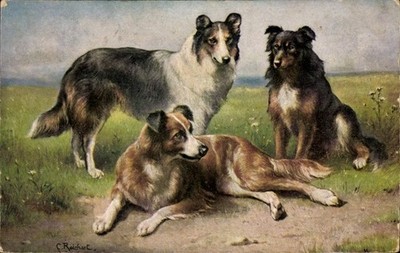 Artist Postcard Reichert, C., Colleys, Scottish Shepherds, Collies - 11052218
