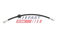 Fast Bremsschlauch FT35161