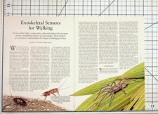 1996 Scientific American Exoskeletal Sensors Walking Robots Article Ephemera
