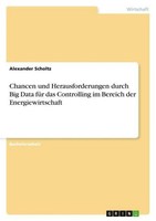 Chancen Und Herausforderungen Durch Big Data FüR Das Controlling Im Bereich Der