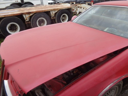 Hood Maserati Chrysler TC 89 90 91 - Picture 3 of 4