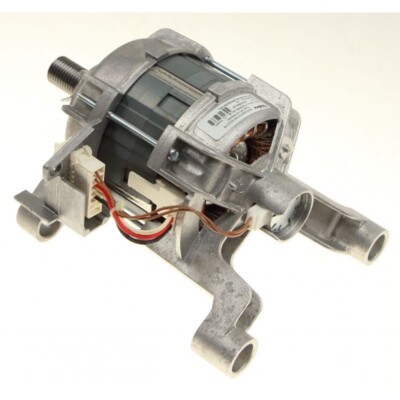 Carboncino Spazzola Motore Collettore Welling 40a 40 (1 Pezzo) Indesit C00273898 | Acquisti Online su