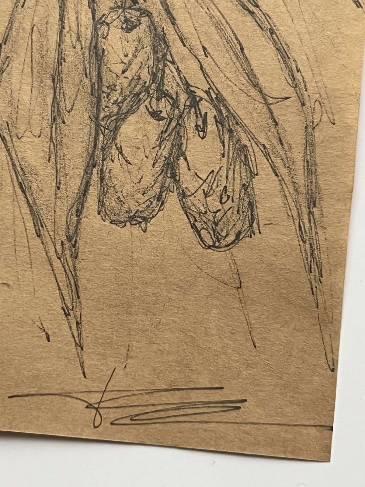 Picture 9 of 15