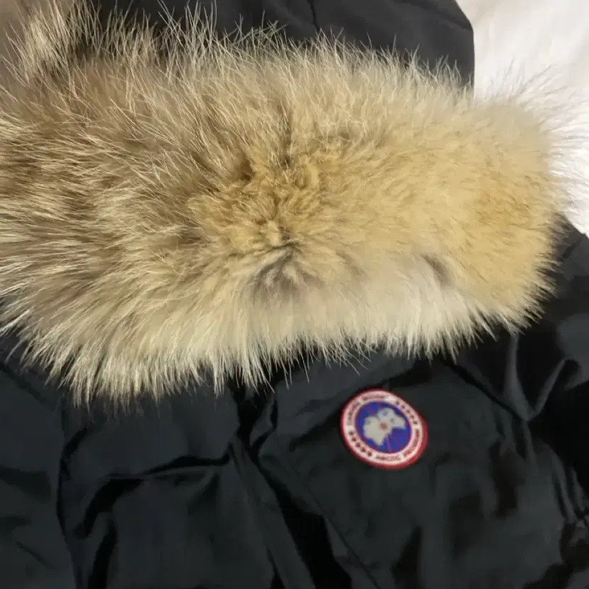 Canada Goose Expedition M Coat - Pre-Owned, Size 110 thumbnail 4