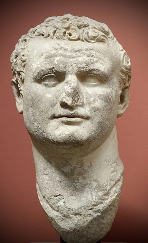 Moneda romana antigua certificada Emperador Tito 79-81 dC NGC genuina como Foto 4 de 4