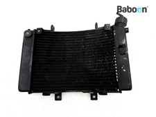 Radiator KTM 690 SMC