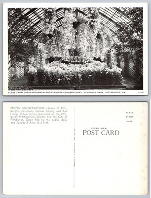 Chrysanthemum Show Phipps Conservatory Pittsburgh PA Vintage Postcard Elvin