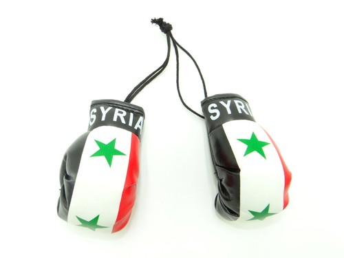 High Quality Country Flag MINI BOXING GLOVES - Rear View Mirror Gloves - New - Picture 123 of 134