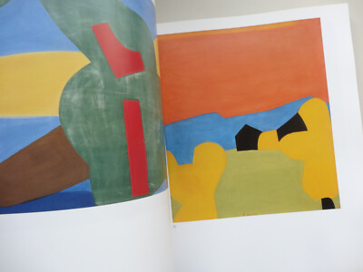 Ferdinand Gehr: 1896-1996. Kunstbuch Monografie Werke Oeuvre