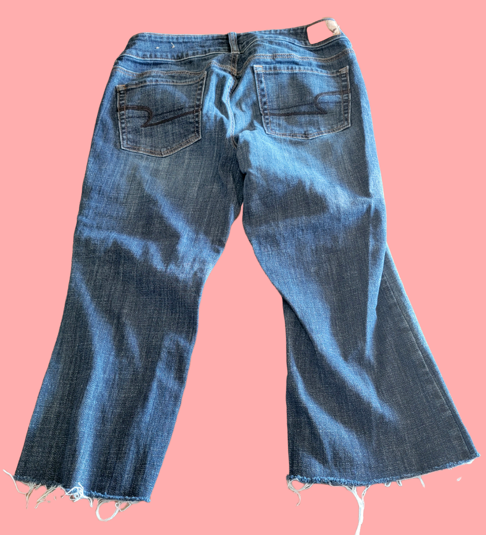 AMERICAN EAGLE JEGGINGS AEO SIZE ARTIST BLUE STRETCH DENIM