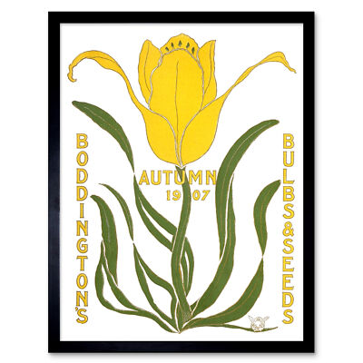 Boddingtons Blumenzwiebeln Samen Herbst 1907 Gerahmter Druck 30x40 cm