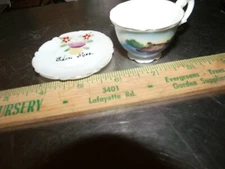 Vintage Mini Tea Cup & Saucer -Steamboat Mass. 