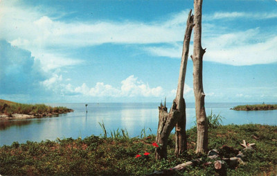 Lake Okeechobee Florida, Largest Fresh Water Lake Scenic View, Vintage Postcard