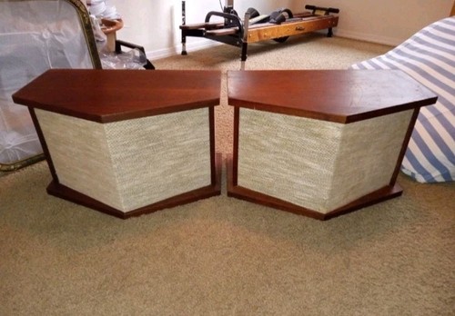 Vintage Bose 901 Series 1 Direct Reflecting Loudspeaker System No Equalizer