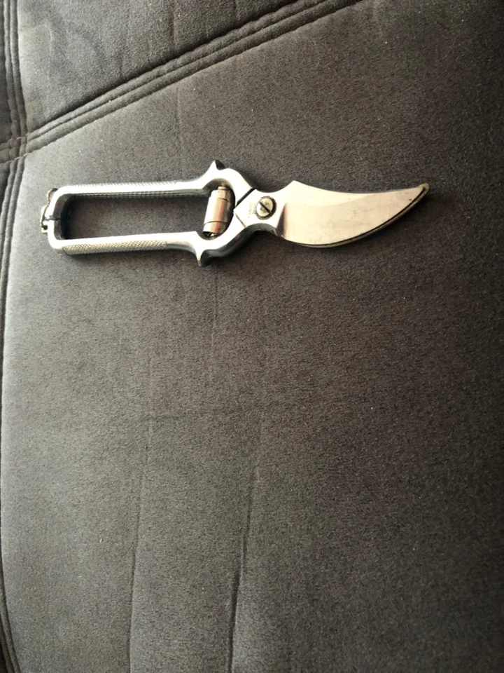 Ältere Geflügelschere Stahl geschmiedet Fleischschere Hähnchen Geflügel Schere