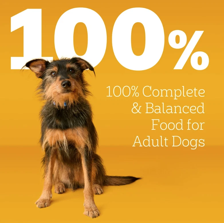 Pedigree Grilled Steak and Vegetable Flavor Adult Dry Dog Food - 18lbs - Image 3 of 4