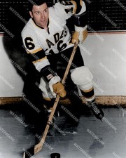 HF996 WALLY HERGESHEIMER LOS ANGELES BLADES WHL HOCKEY8x10 16x20 Colorized Photo
