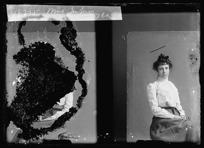 Photo:Mrs Jenkins Portrait Woman Seated Studio Photograph 1901 1903