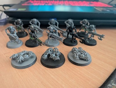 Warhammer 40k Necron Krieger und Canoptek Skarabäen Miniatur Spiel Games Workshop