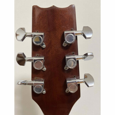Electric Acoustic Guitar Takeharu by Suzuki Violin FT-150