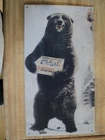 U.S. CARTRIDGES Black Bear Standing   embossed Tin Metal Sign 9" by 15 3/4"