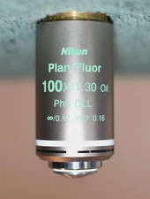 MINT Nikon Plan Fluor 100x/1.30 Oil Ph3 DLL -/0.17 WD 0.16