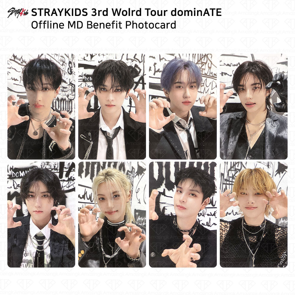 Stray Kids 3rd World Tour dominATE Offline MD Benefit Stray Kids 3rd World Tour dominATE Offline MD Benefit