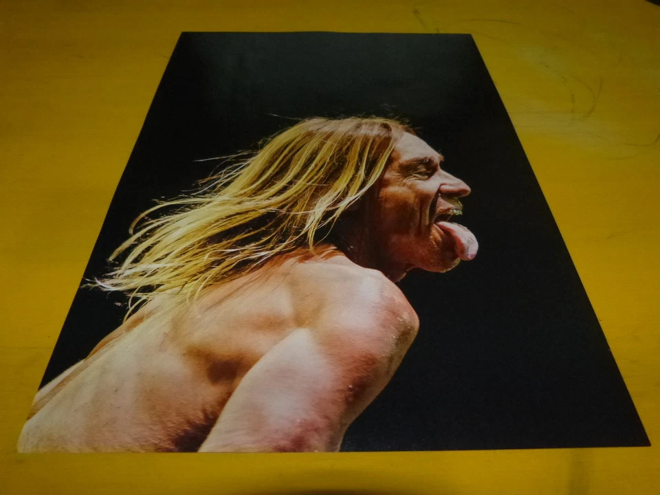 IGGY POP - Mini poster couleurs 5 !!!!!!!!!!!!!!! - Photo 1/1