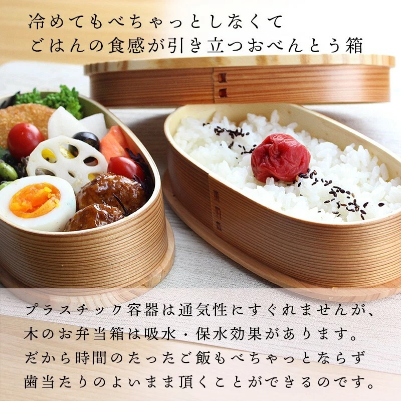 Japanese Magewappa Bento Lunch Box 750ml Large Oval Wooden