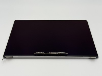 Apple Original Display für MacBook Pro 16'', A2141, Space Gray