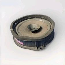 2010-2017 Chevrolet Equinox Rear Left Side Back Door Audio Speaker 20843946 OEM