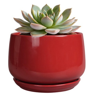 6Inch Ceramic Plant Pot with Drainage & Tray   Modern Home Decor, Gifts