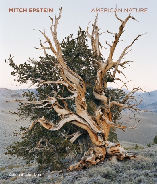 Mitch Epstein American Nature (Hardback Book)