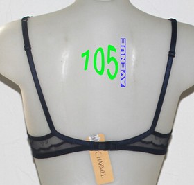 New Push Up Bra + Lise Charmel Flower Throw + FR 85B (70B EUR)