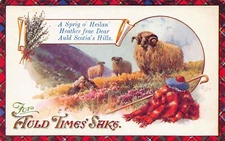 Spring Heilan Heather Dear Auld Scotia’s Hills Times Sake Valentines Burns PC