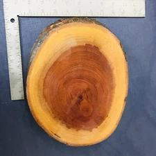 Wood Charcuterie Cheese Board Live Edge Round Oval Serving Block Party 10.5"