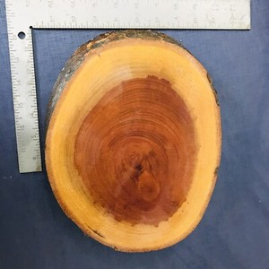 Wood Charcuterie Cheese Board Live Edge Round Oval Serving Block Party 10.5"