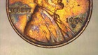 1952 D Lincoln Wheat Cent with Natural Rainbow Toning (A791) — photo 5
