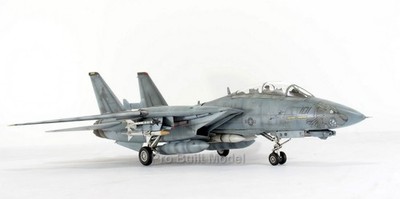 PreOrder 1:48 ProBuilt F-14D Tomcat VF-213 USS Carl Vinson   Preorder Model
